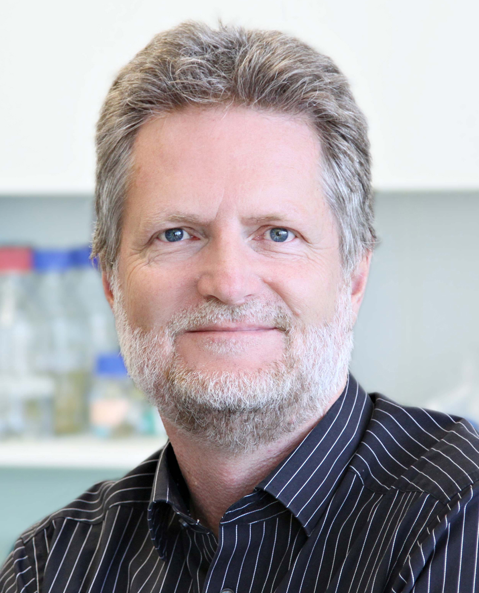 Jorg Hoheisel