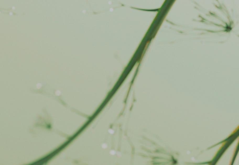 Multiomics 5