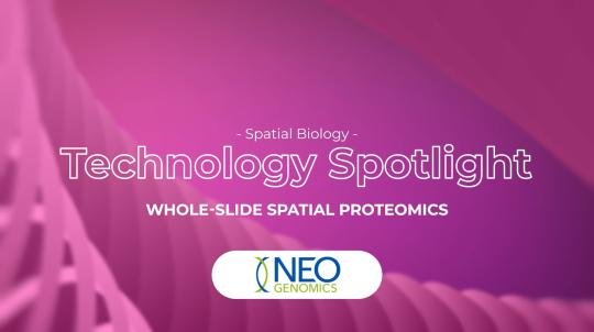 thumb - 2025-07-04T102009.340