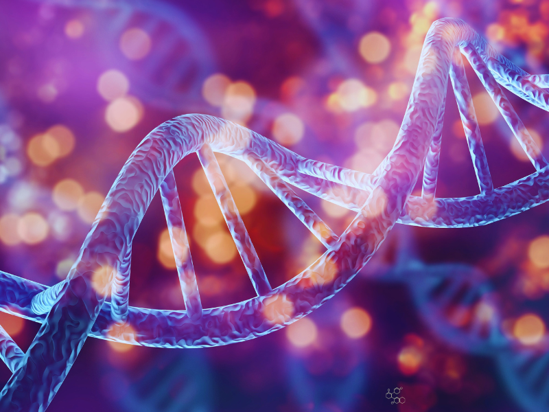 Spatial Mapping Uncovers a Group of Genes Involved in Crohn’s Disease Complication