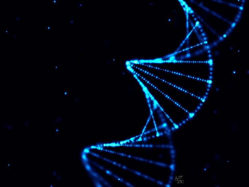Google DeepMind’s AlphaGenome Seeks to Decode ‘Junk’ DNA