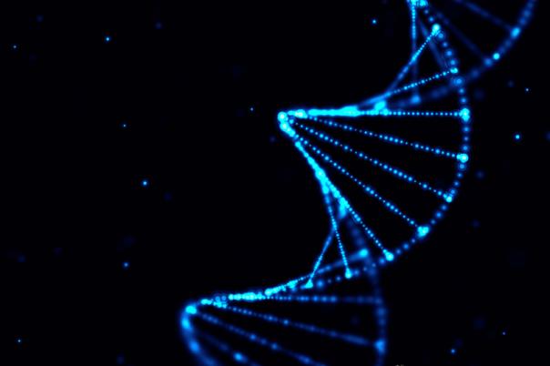 Google DeepMind’s AlphaGenome Seeks to Decode ‘Junk’ DNA