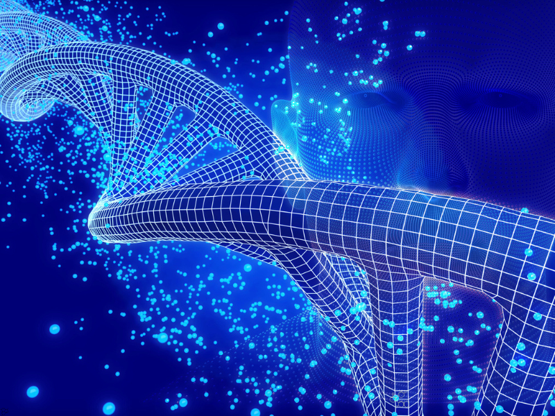 Plexision Secures $765K to Transform Transplant Outcomes with AI