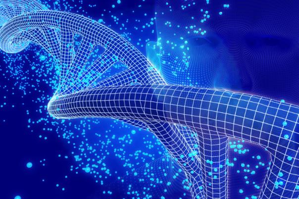 Plexision Secures $765K to Transform Transplant Outcomes with AI