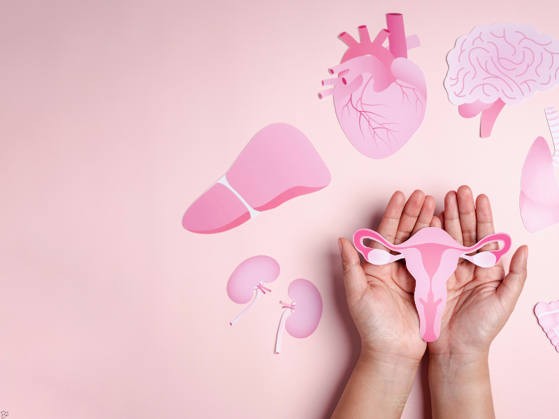 Gnosis launches the First Non-Invasive Liquid-Based Cytology Test for Early Endometrial Cancer Detection