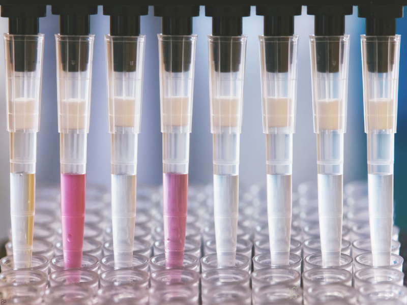 UK Biobank Develops a Multi-Modal AI Foundation Model to Advance Precision Medicine
