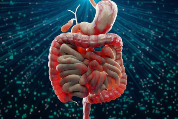 gene for crohns