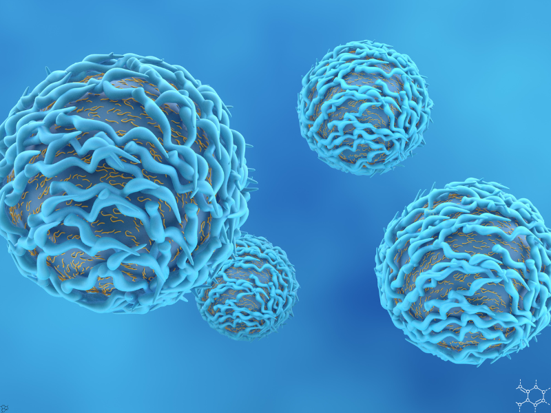 Featured image with circle  (82)