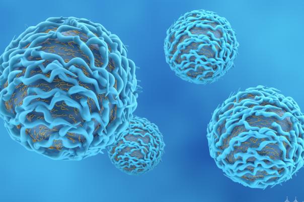 Liquid Biopsy Model Predicts Patient Response to Immune Checkpoint Blockade Drugs