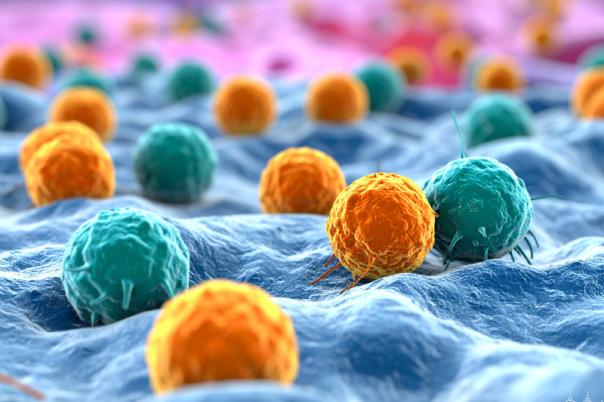 Bio-Techne and Nucleai Showcase AI-Driven Spatial Biology Breakthroughs at SITC 2025