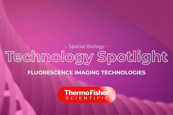thermo fisher