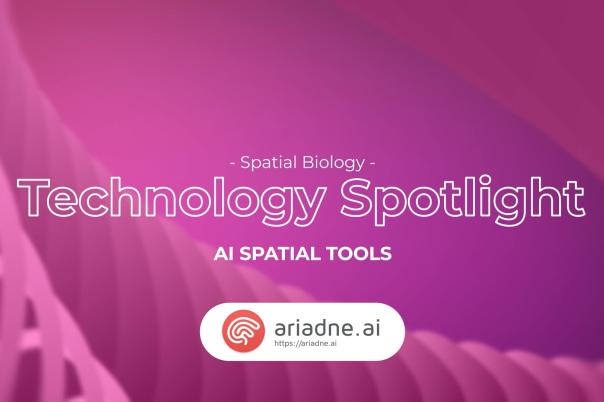 thumb - 2025-11-12T110938.225