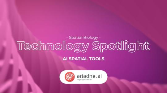 thumb - 2025-11-12T110938.225