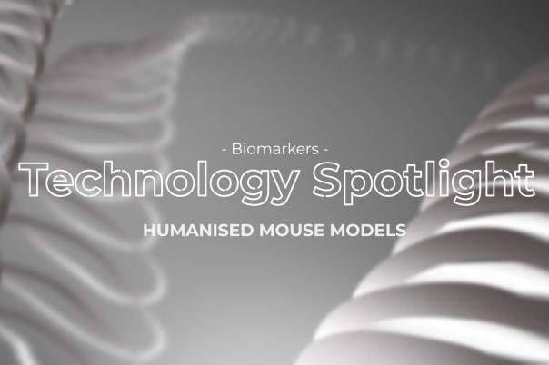 thumb - 2025-11-12T111214.296