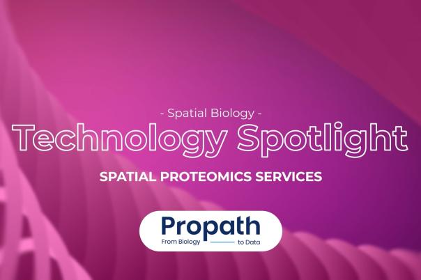 thumb - 2025-11-12T111556.798