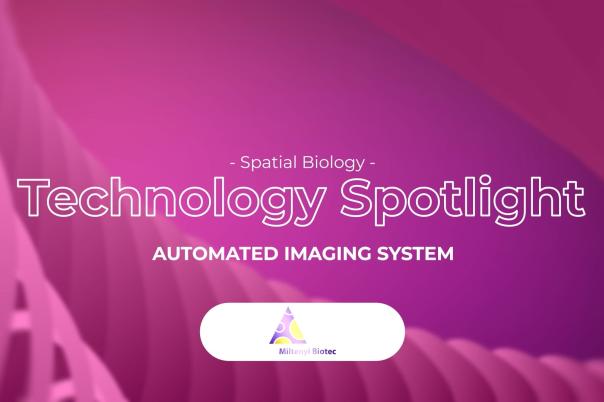 thumb - 2025-11-12T112021.974