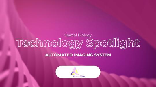 thumb - 2025-11-12T112021.974