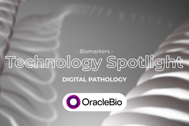 thumb - 2025-11-12T112537.925