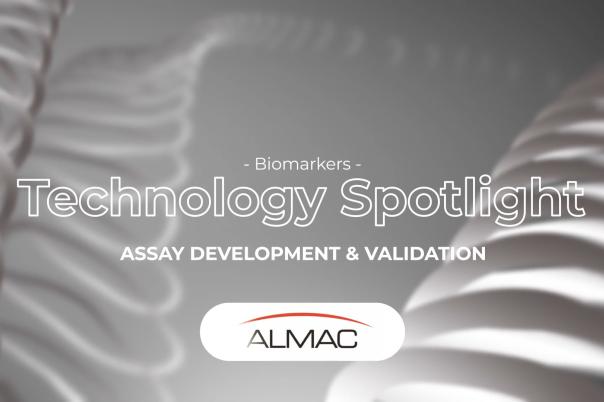 thumb - 2025-11-12T114031.602