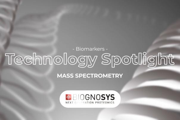 thumb - 2025-11-12T114558.824