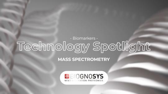 thumb - 2025-11-12T114558.824