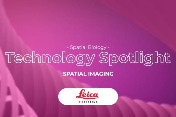 thumb - 2025-11-12T153809.702