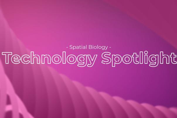Subcellular Multi-Omic Imaging Of FFPE Tissue At The Whole Transcriptome Level