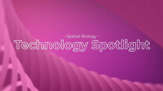 Subcellular Multi-Omic Imaging Of FFPE Tissue At The Whole Transcriptome Level